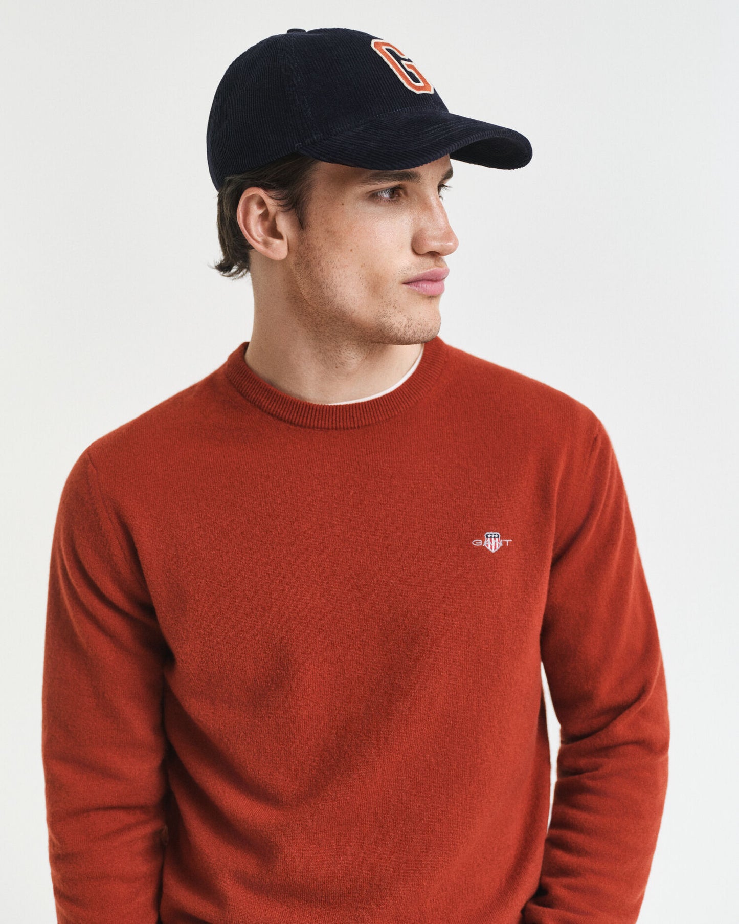 Feiner Lammwollpullover mit Rundhalsausschnitt